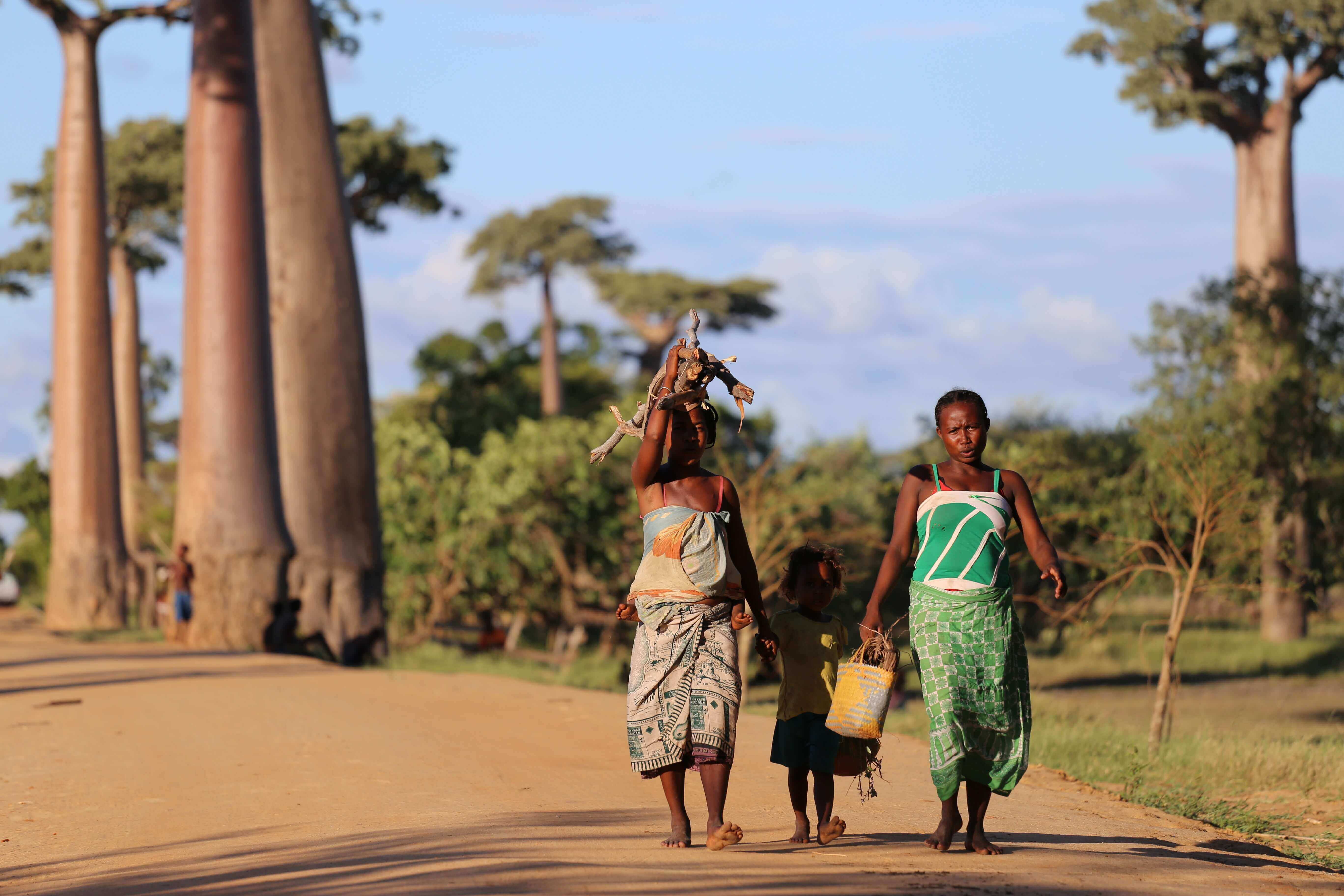 Pourquoi passer par une agence locale pour organiser votre voyage à Madagascar ?
