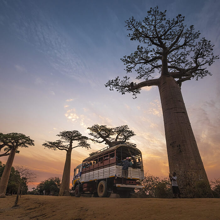 Voyage à Madagascar : Guide complet