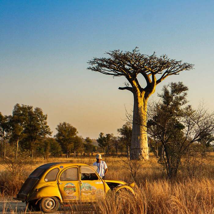 Les plus beaux Parcs Nationaux de Madagascar à visiter absolument