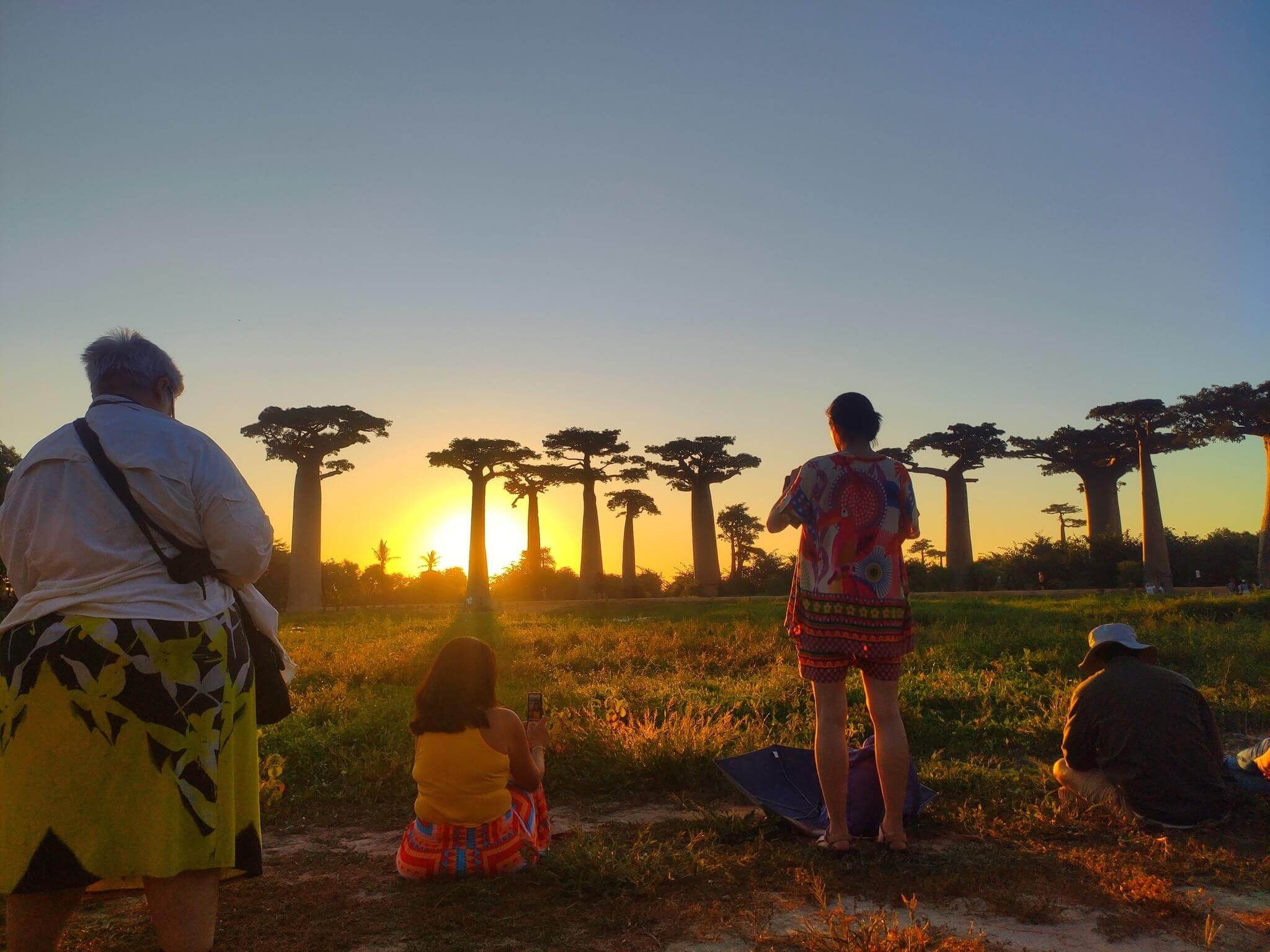 Allée des Baobabs