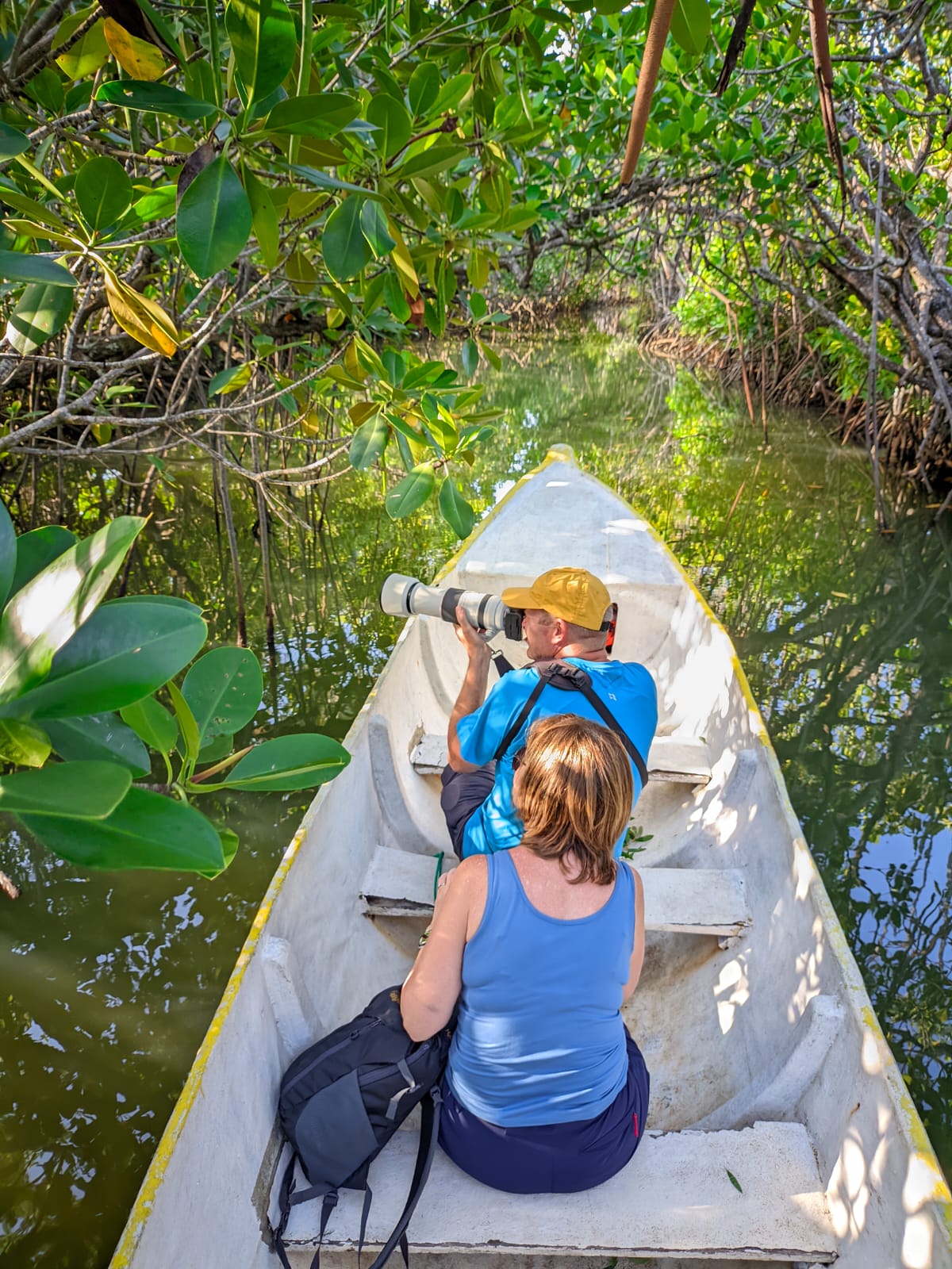 Mangroves Sainte-Marie
