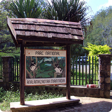 Parc National d’Andasibe-Mantadia