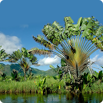 Parc National de Masoala