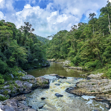 Parc National de Ranomafana
