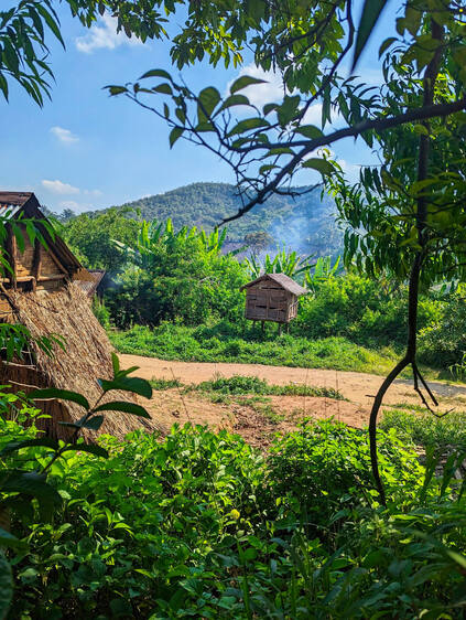 Parc National d'Andasibe
