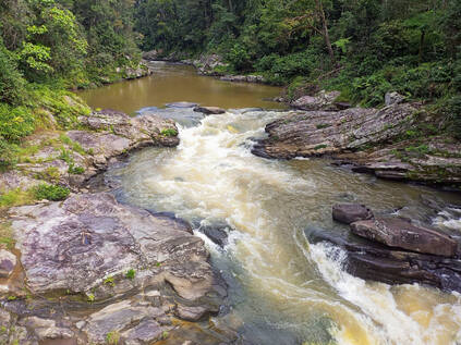 Parc National de Ranomafana