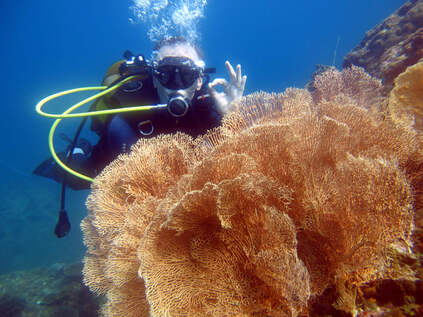 Snorkeling Sainte-Marie