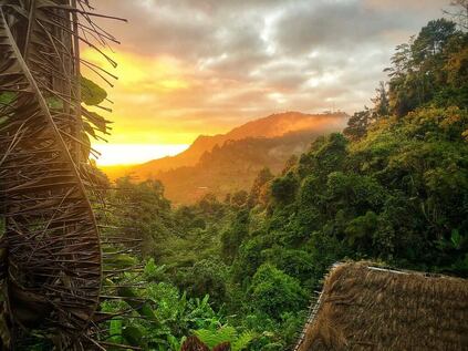 Parc National de Ranomafana