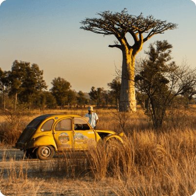 Voyage Morondava Madagascar