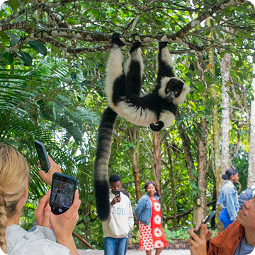 Parc National de Ranomafana