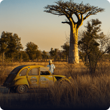Baobab Madagascar