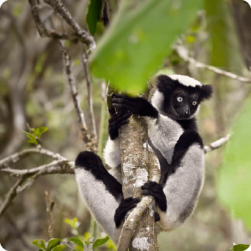 Image Ouest de Madagascar