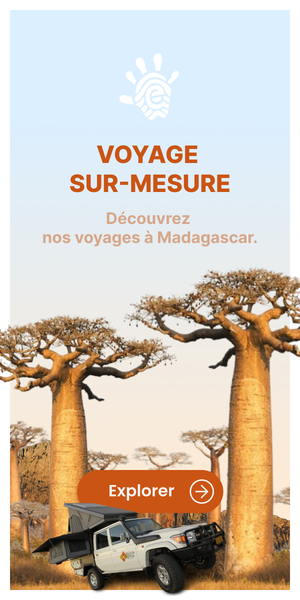 Voyage_banner