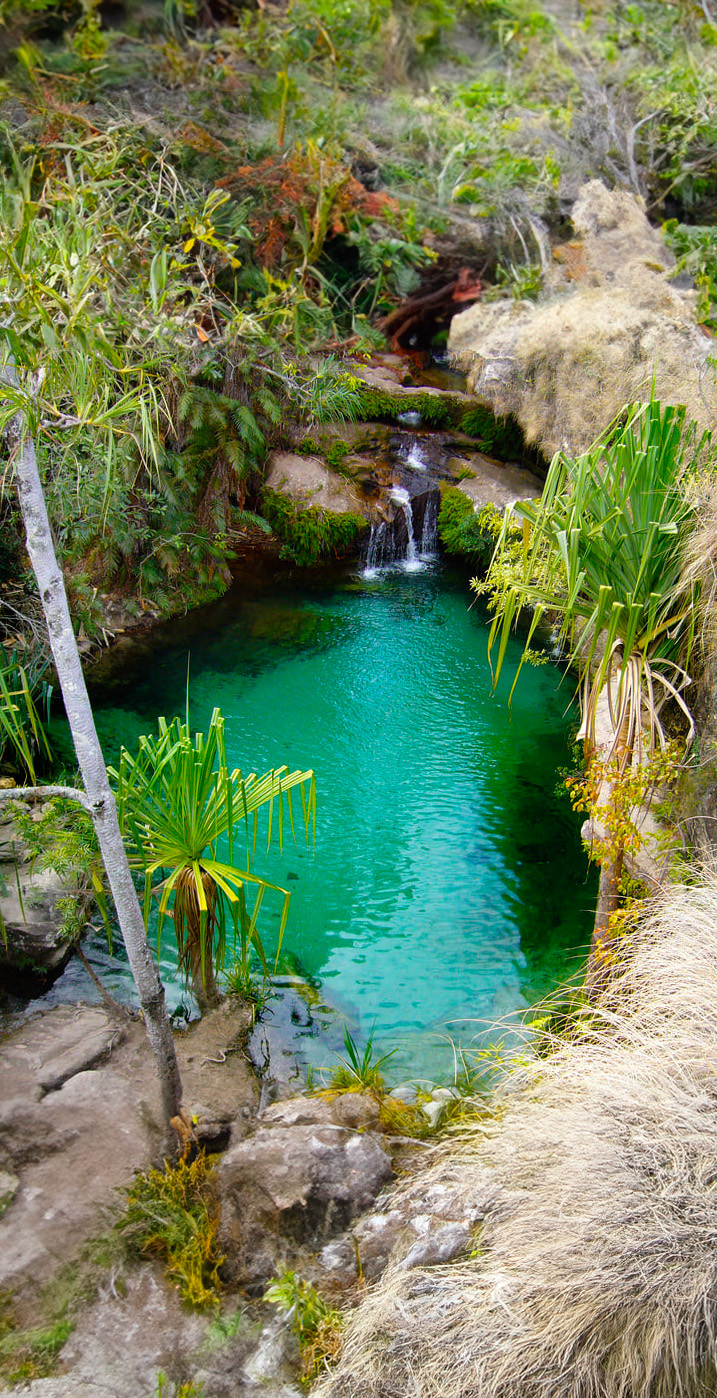 Piscine Naturelle de l'Isalo